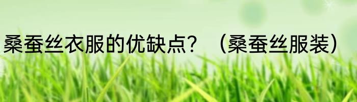 桑蚕丝衣服的优缺点？（桑蚕丝服装）