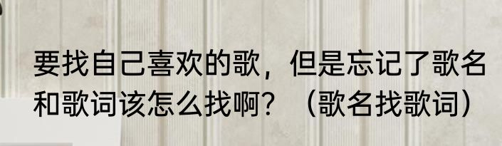 要找自己喜欢的歌，但是忘记了歌名和歌词该怎么找啊？（歌名找歌词）