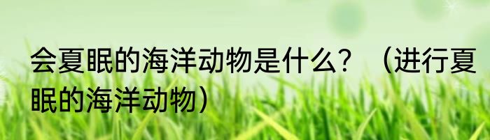 会夏眠的海洋动物是什么？（进行夏眠的海洋动物）