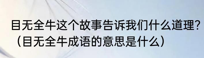 目无全牛这个故事告诉我们什么道理？（目无全牛成语的意思是什么）
