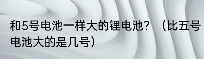 和5号电池一样大的锂电池？（比五号电池大的是几号）