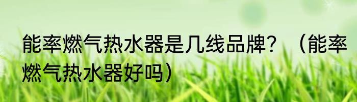 能率燃气热水器是几线品牌？（能率燃气热水器好吗）