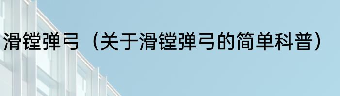 滑镗弹弓（关于滑镗弹弓的简单科普）