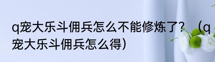 q宠大乐斗佣兵怎么不能修炼了？（q宠大乐斗佣兵怎么得）