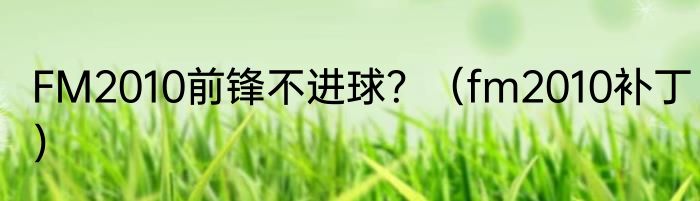 FM2010前锋不进球？（fm2010补丁）