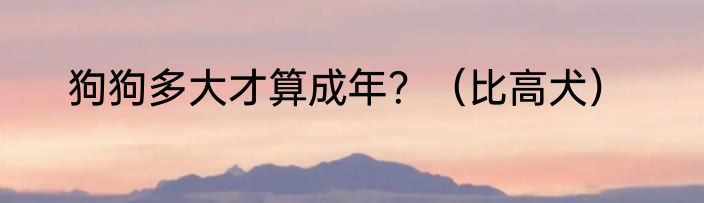 狗狗多大才算成年？（比高犬）