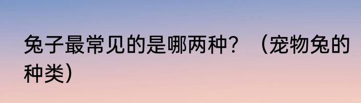 兔子最常见的是哪两种？（宠物兔的种类）