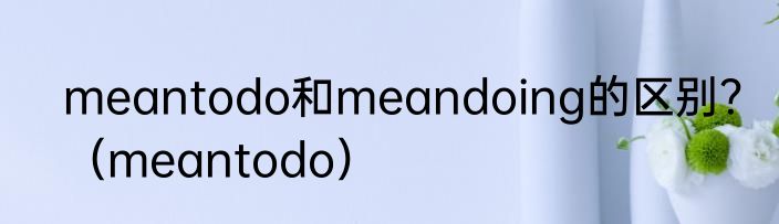 meantodo和meandoing的区别？（meantodo）