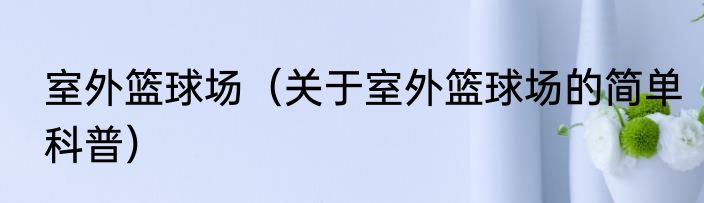 室外篮球场（关于室外篮球场的简单科普）
