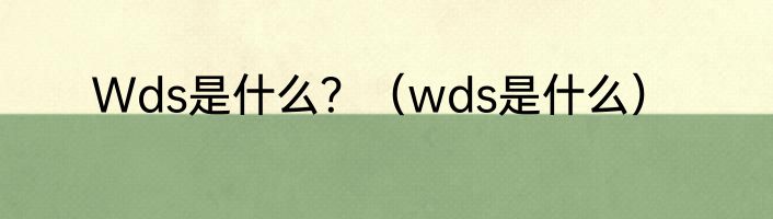 Wds是什么？（wds是什么）
