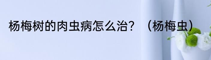 杨梅树的肉虫病怎么治？（杨梅虫）