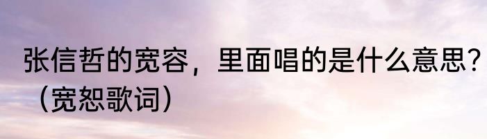 张信哲的宽容，里面唱的是什么意思？（宽恕歌词）