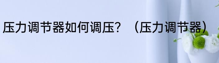 压力调节器如何调压？（压力调节器）