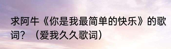 求阿牛《你是我最简单的快乐》的歌词？（爱我久久歌词）