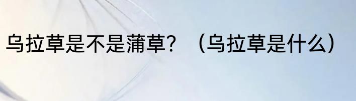 乌拉草是不是蒲草？（乌拉草是什么）