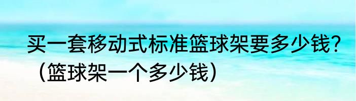 买一套移动式标准篮球架要多少钱？（篮球架一个多少钱）