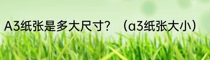 A3纸张是多大尺寸？（a3纸张大小）