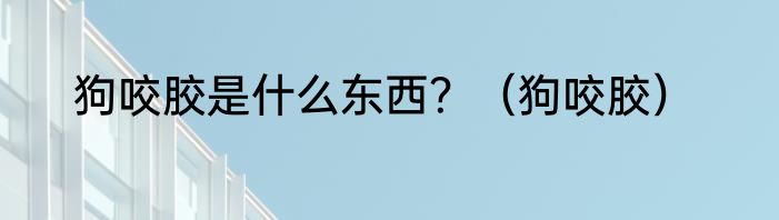 狗咬胶是什么东西?(狗咬胶)