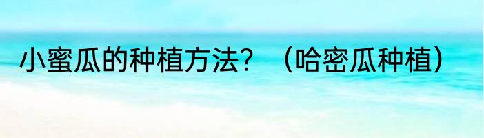 小蜜瓜的种植方法？（哈密瓜种植）