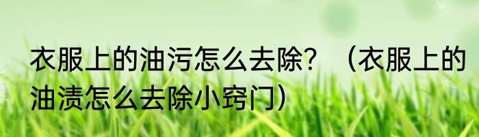 衣服上的油污怎么去除？（衣服上的油渍怎么去除小窍门）