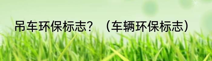 吊车环保标志？（车辆环保标志）
