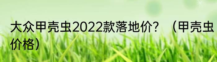 大众甲壳虫2022款落地价？（甲壳虫价格）