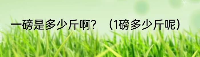 一磅是多少斤啊？（1磅多少斤呢）