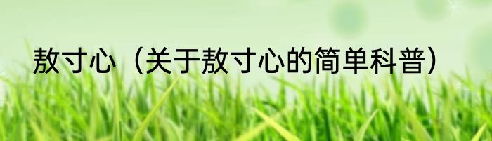 敖寸心（关于敖寸心的简单科普）