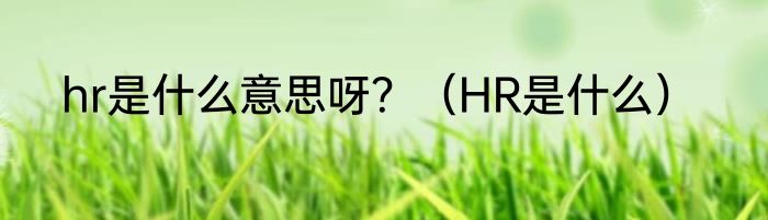 hr是什么意思呀？（HR是什么）