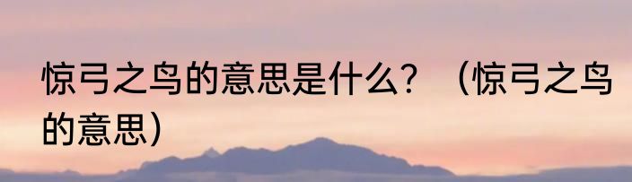 惊弓之鸟的意思是什么？（惊弓之鸟的意思）