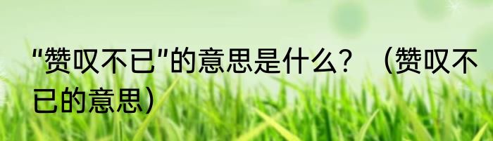 “赞叹不已”的意思是什么？（赞叹不已的意思）