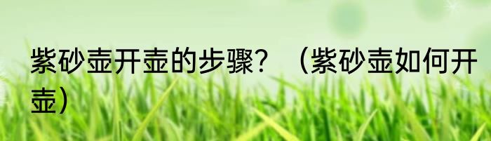 紫砂壶开壶的步骤？（紫砂壶如何开壶）