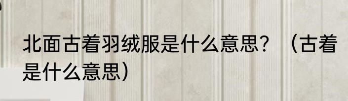 北面古着羽绒服是什么意思？（古着是什么意思）