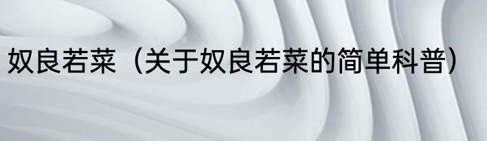 奴良若菜（关于奴良若菜的简单科普）