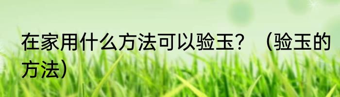 在家用什么方法可以验玉？（验玉的方法）