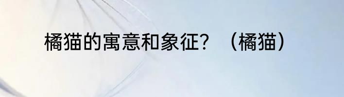 橘猫的寓意和象征？（橘猫）