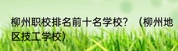 柳州职校排名前十名学校？（柳州地区技工学校）