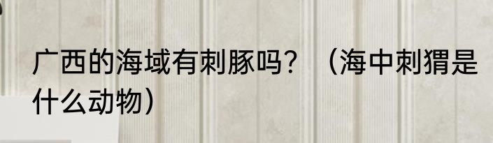 广西的海域有刺豚吗？（海中刺猬是什么动物）