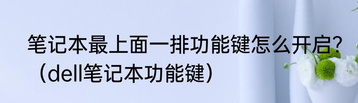 笔记本最上面一排功能键怎么开启？（dell笔记本功能键）