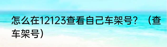 怎么在12123查看自己车架号？（查车架号）