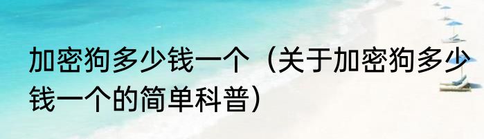加密狗多少钱一个（关于加密狗多少钱一个的简单科普）