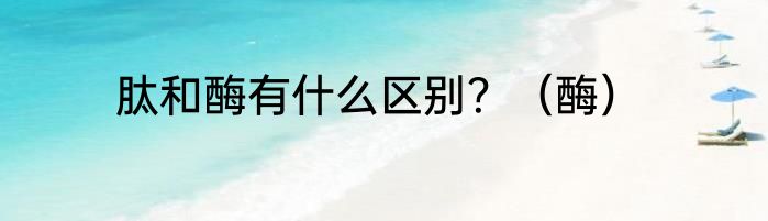 肽和酶有什么区别？（酶）