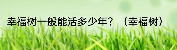 幸福树一般能活多少年？（幸福树）