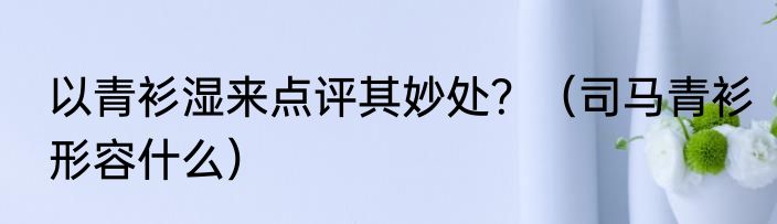 以青衫湿来点评其妙处？（司马青衫形容什么）