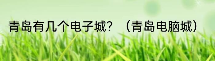 青岛有几个电子城？（青岛电脑城）