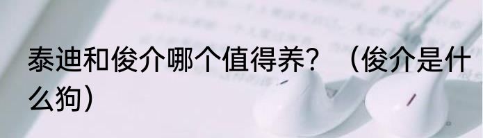 泰迪和俊介哪个值得养？（俊介是什么狗）