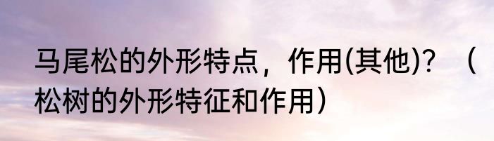 马尾松的外形特点，作用(其他)？（松树的外形特征和作用）
