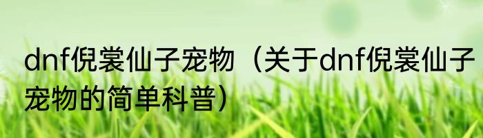 dnf倪裳仙子宠物（关于dnf倪裳仙子宠物的简单科普）