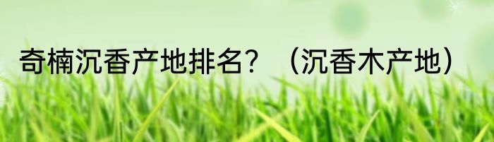 奇楠沉香产地排名？（沉香木产地）