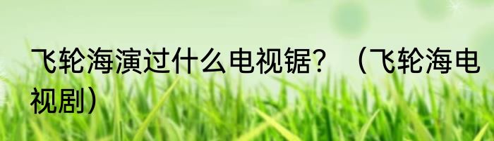 飞轮海演过什么电视锯？（飞轮海电视剧）